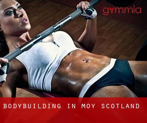 BodyBuilding in Moy (Scotland)