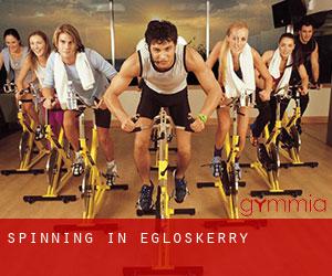 Spinning in Egloskerry
