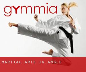 Martial Arts in Amble