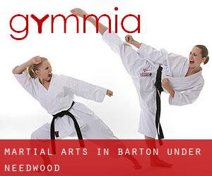Martial Arts in Barton under Needwood