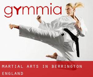 Martial Arts in Berrington (England)
