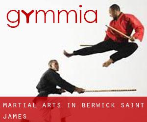 Martial Arts in Berwick Saint James