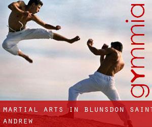 Martial Arts in Blunsdon Saint Andrew