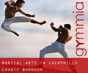 Martial Arts in Caerphilly (County Borough)