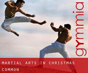Martial Arts in Christmas Common