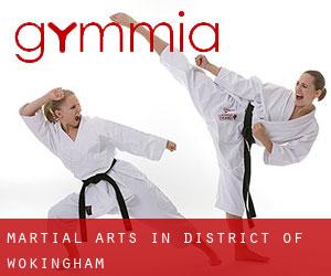Martial Arts in District of Wokingham