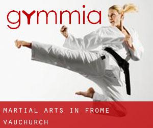 Martial Arts in Frome Vauchurch