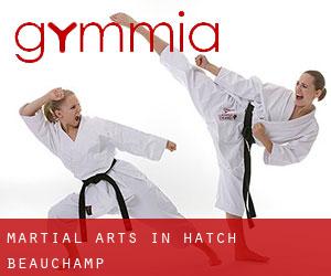 Martial Arts in Hatch Beauchamp