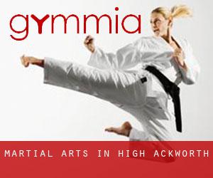 Martial Arts in High Ackworth