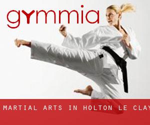 Martial Arts in Holton le Clay