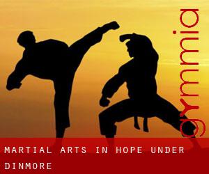 Martial Arts in Hope under Dinmore