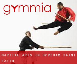 Martial Arts in Horsham Saint Faith