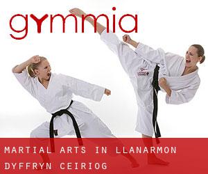 Martial Arts in Llanarmon Dyffryn-Ceiriog