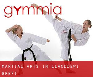 Martial Arts in Llanddewi-Brefi