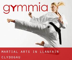 Martial Arts in Llanfair Clydogau