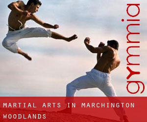 Martial Arts in Marchington Woodlands