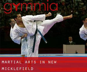 Martial Arts in New Micklefield