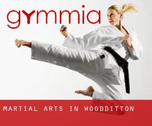 Martial Arts in Woodditton