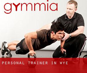Personal Trainer in Wye
