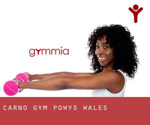 Carno gym (Powys, Wales)