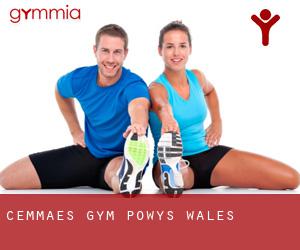 Cemmaes gym (Powys, Wales)