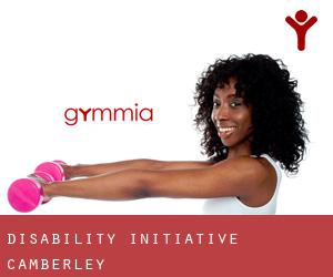 Disability Initiative (Camberley)