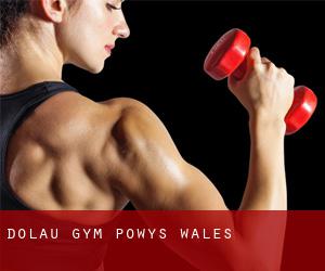 Dolau gym (Powys, Wales)