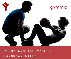 Ewenny gym (The Vale of Glamorgan, Wales)