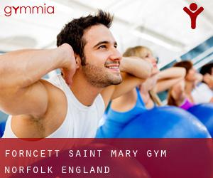 Forncett Saint Mary gym (Norfolk, England)
