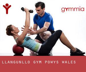 Llangunllo gym (Powys, Wales)