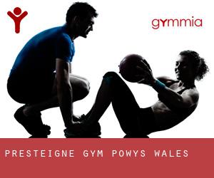 Presteigne gym (Powys, Wales)