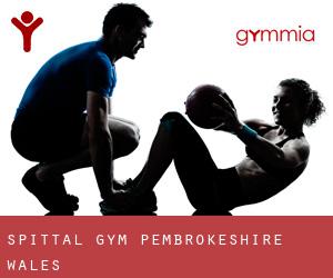 Spittal gym (Pembrokeshire, Wales)